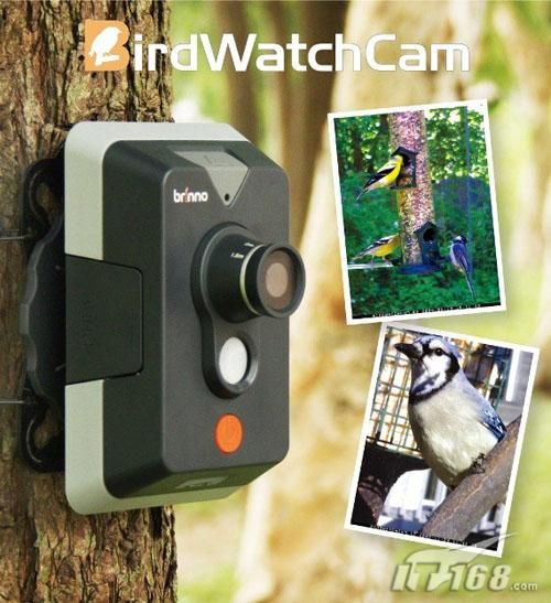 打鸟"钝"器 BirdWatchCam拍鸟DC面世