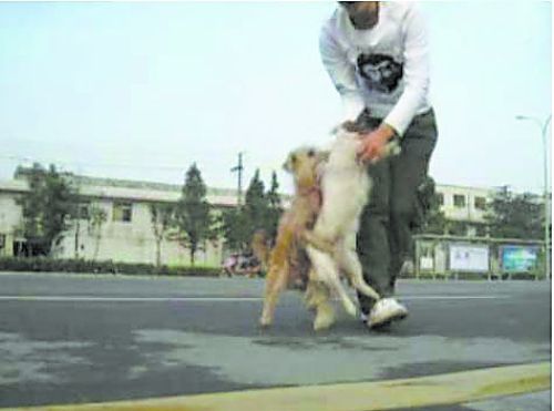 问世间情为何物 教这对“狗男女”生死相许
