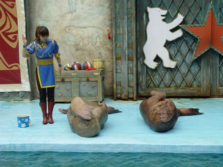 功夫海象复活 杰克逊舞蹈惊现大连圣亚海洋世