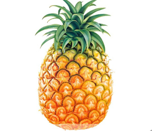 Բ