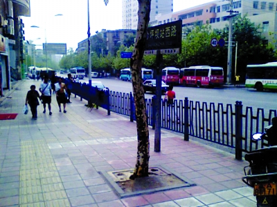 人行道树木下出现残缺墓碑(组图)