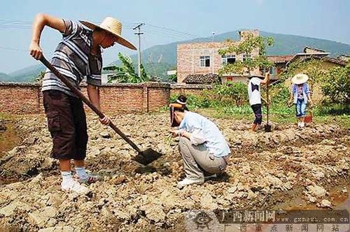 “QQ农场”爆出现实版 众网友下地种瓜果蔬菜