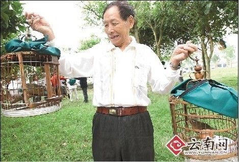 七旬老人驯鸟技艺令人称奇 能模仿四种鸟叫