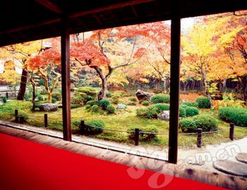 行游| 新超值 新热点 -- 秋冬旅行风尚标(1)