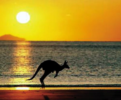 留学澳洲哪些专业可为移民加分