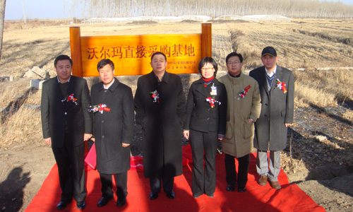 沃尔玛在绥化市启动农超对接绿色水稻基地-