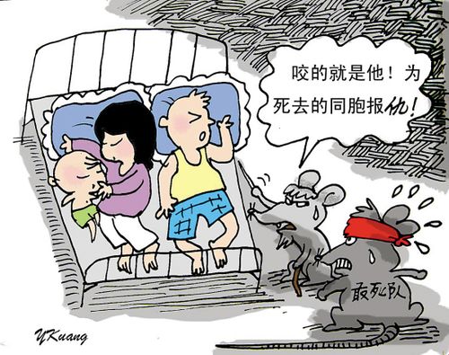 打死两只老鼠 半夜被咬脖子