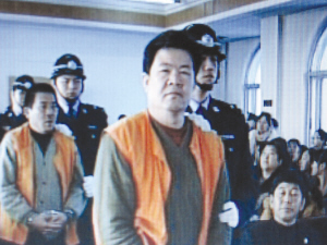 李亚平,李亚明等涉嫌组织,领导,参加黑社会性质组织罪一案在通化市