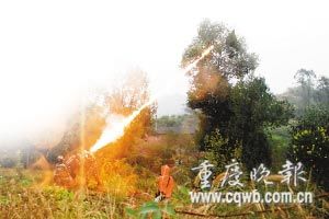 消防员用军用火焰喷射器轰击马蜂窝(图)