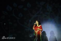齐豫演唱会大玩跨界献唱《我爱你中国》(组图)