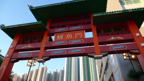 相信群众 09年网友公认最好相机推荐
