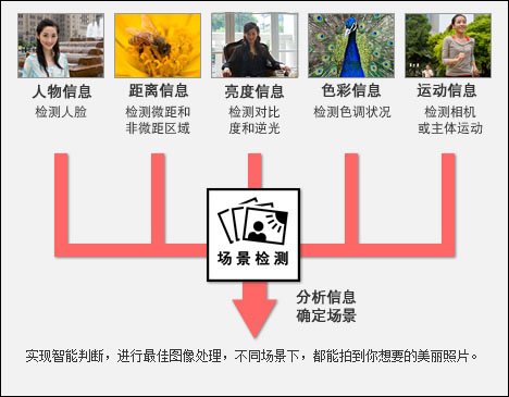 全年热销 2009年十大最强卡片相机盘点