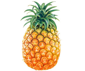 Բ