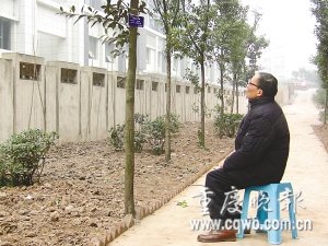 68岁老人为保护新栽树木每天坐树下守护(图)