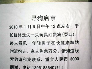 爱犬走失女孩哭晕 家人悬赏3000元寻狗(图)
