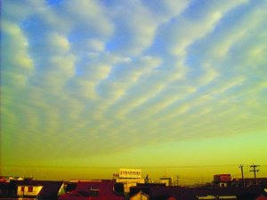 江苏近日连现“怪兆” 专家称非地震前兆(图)