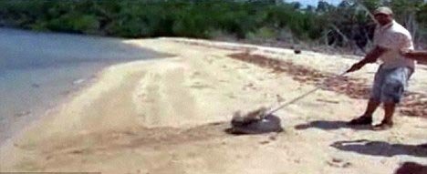 点击浏览下一张