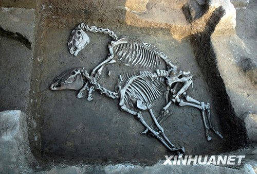 中国西周时期齐国历史考古取得突破性进展