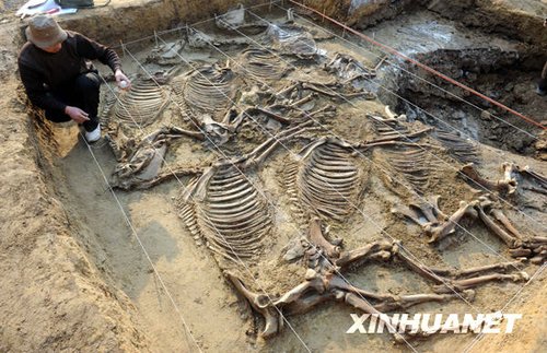 中国西周时期齐国历史考古取得突破性进展