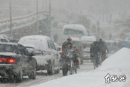 哈尔滨遭遇暴雪 市民出行困难(组图)