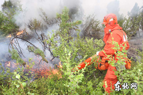 记6.26扑火英雄集体武警伊春市森林支队新青