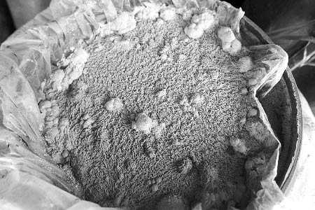 郑州查获两万斤毒蘑菇 工业盐腌泡用料骇人-毒