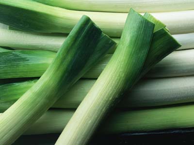 怎么挑选大葱最好 3670704_390059.jpg