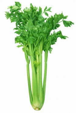 3714490_939952.jpg