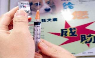 怎么可以不打狂犬疫苗 3755456_754103.jpg