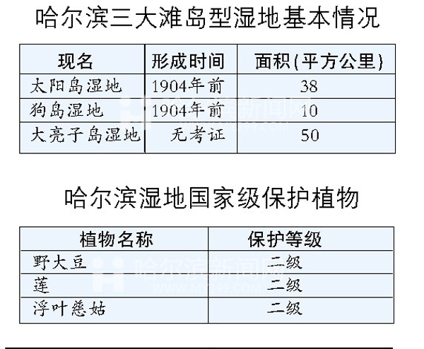 济源金利金铅老总