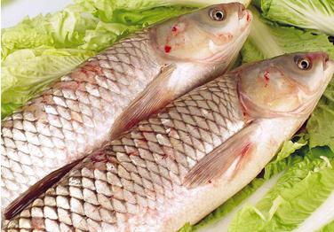 草鱼的营养价值与食用功效 健康吃法