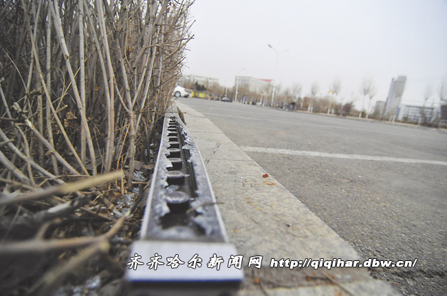 市政设施需爱护