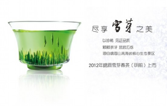 红遍网络 春天里大江南北刮起峨眉雪芽风-峨眉,网络,春茶,上市,三月,-旅游频道