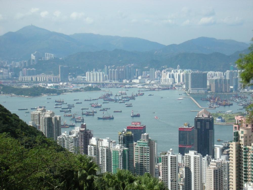 [香港回归十五周年]紫荆映香江:家是香港-香港