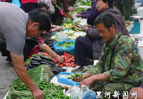 爱辉区幸福乡大力发展蔬菜种植