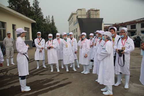 真实金锣:透明生产让消费者吃得更放心