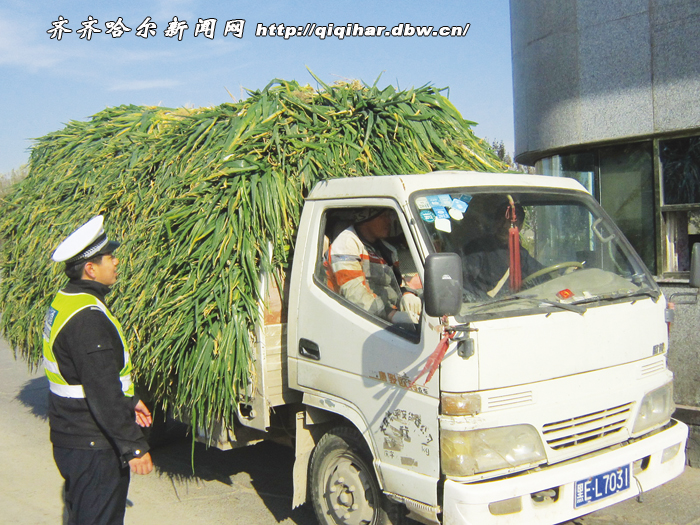 嫩江多少人口_嫩江市(2)