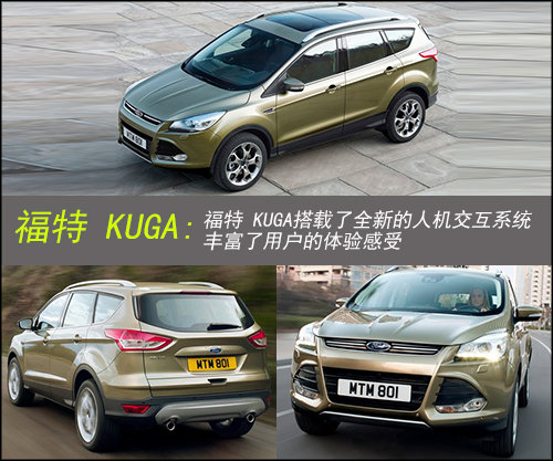 四只老虎五只鸟猜成语(3)