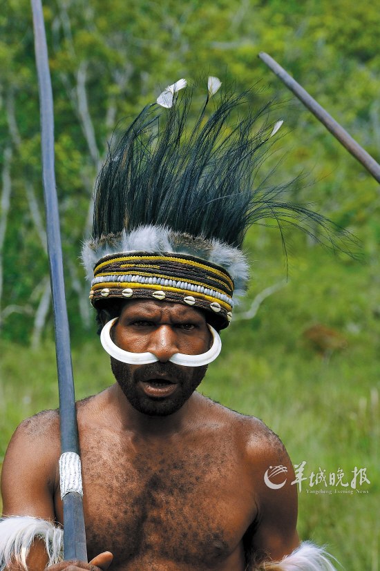 戴着猪牙和羽毛头饰的达尼族部落战士