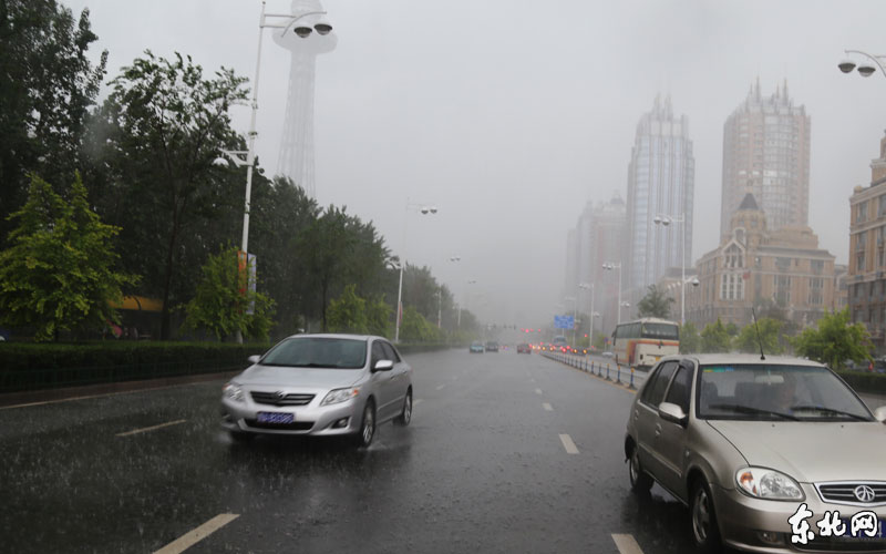 黑龙江降雨量偏多进入汛期 防汛部门全力应对