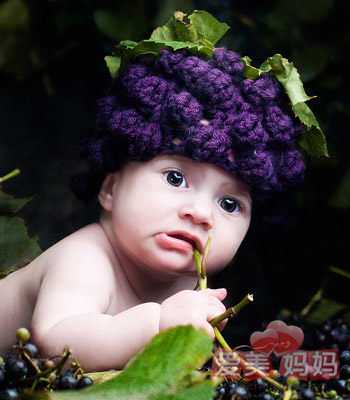 聪明宝宝测试_中国蓝莓网_一亩田农业网