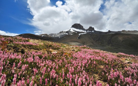 旅游禁地 盘点全球18大最危险旅游地(组图)-旅