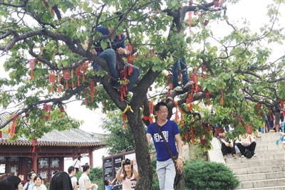 北京多景区爬树照相等不文明行为随处可见(图