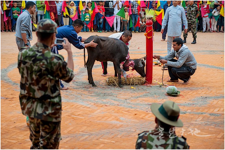 尼泊尔杜尔加祭奠实拍