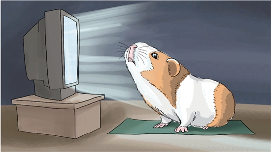 力测试首次纳入考评 一女生最爱玩iPad近视达