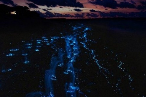 未解的自然现象之谜 6164648_299311.jpg