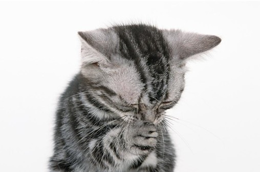 锁屏APP疯狂锁屏是互联网的下一个金矿吗-