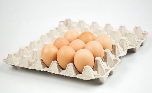 鸡蛋的食物克星的图片 第3张