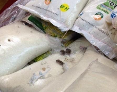 上海一大润发超市现米老鼠 食药监介入-老鼠