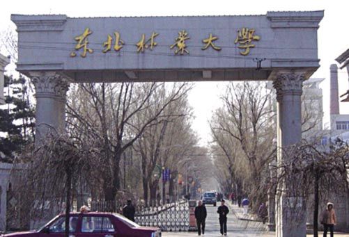 黑龙江7所学校上榜2014中国大学排行榜200强